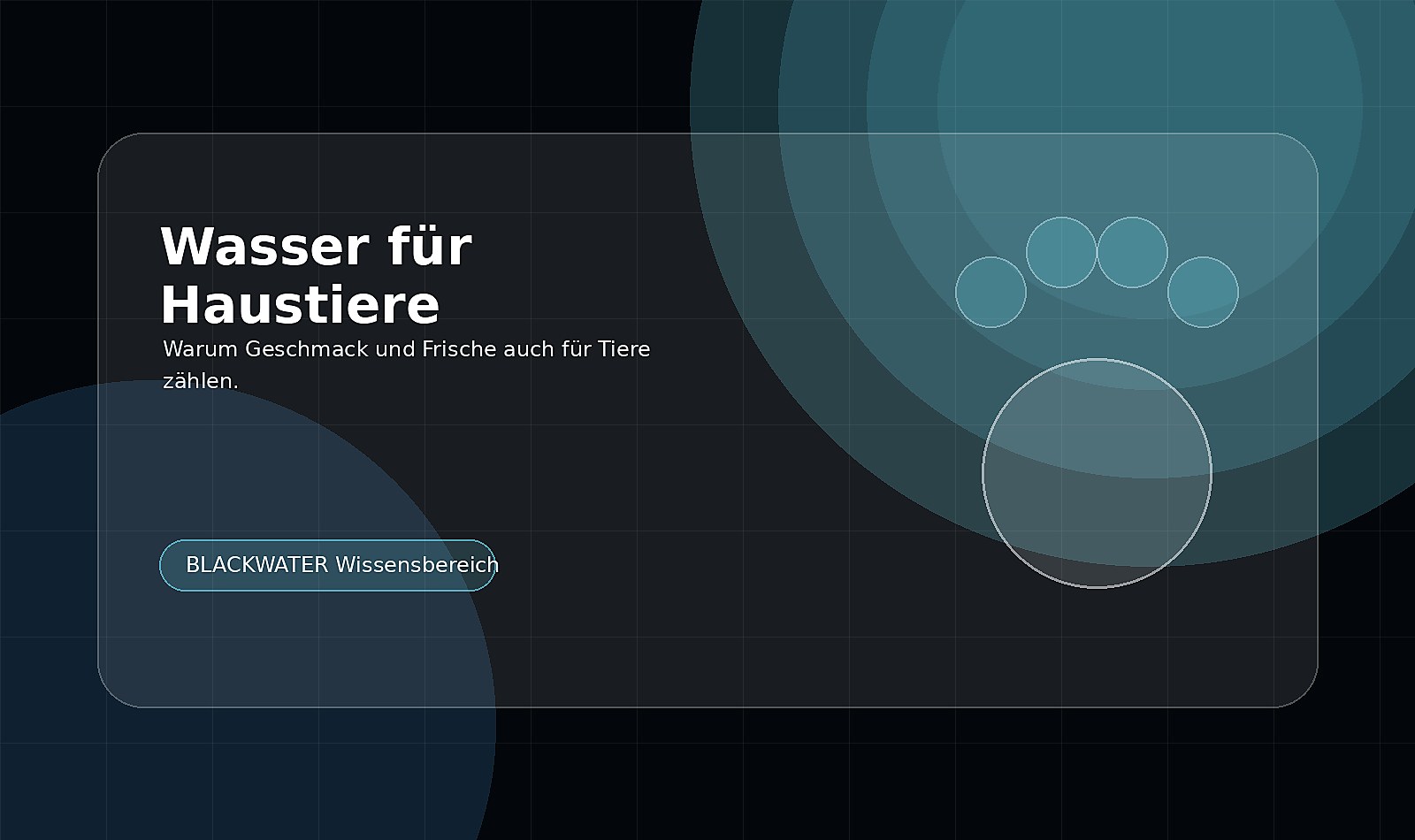 Sollten Haustiere gefiltertes Wasser trinken?