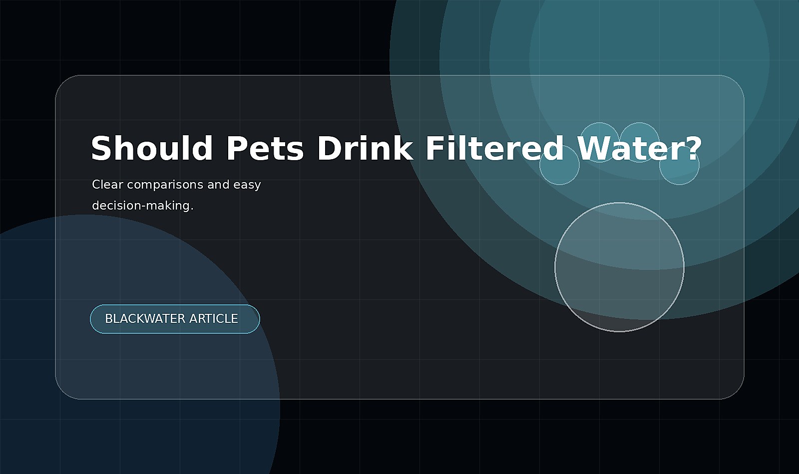 Should Pets Drink Filtered Water? comparison