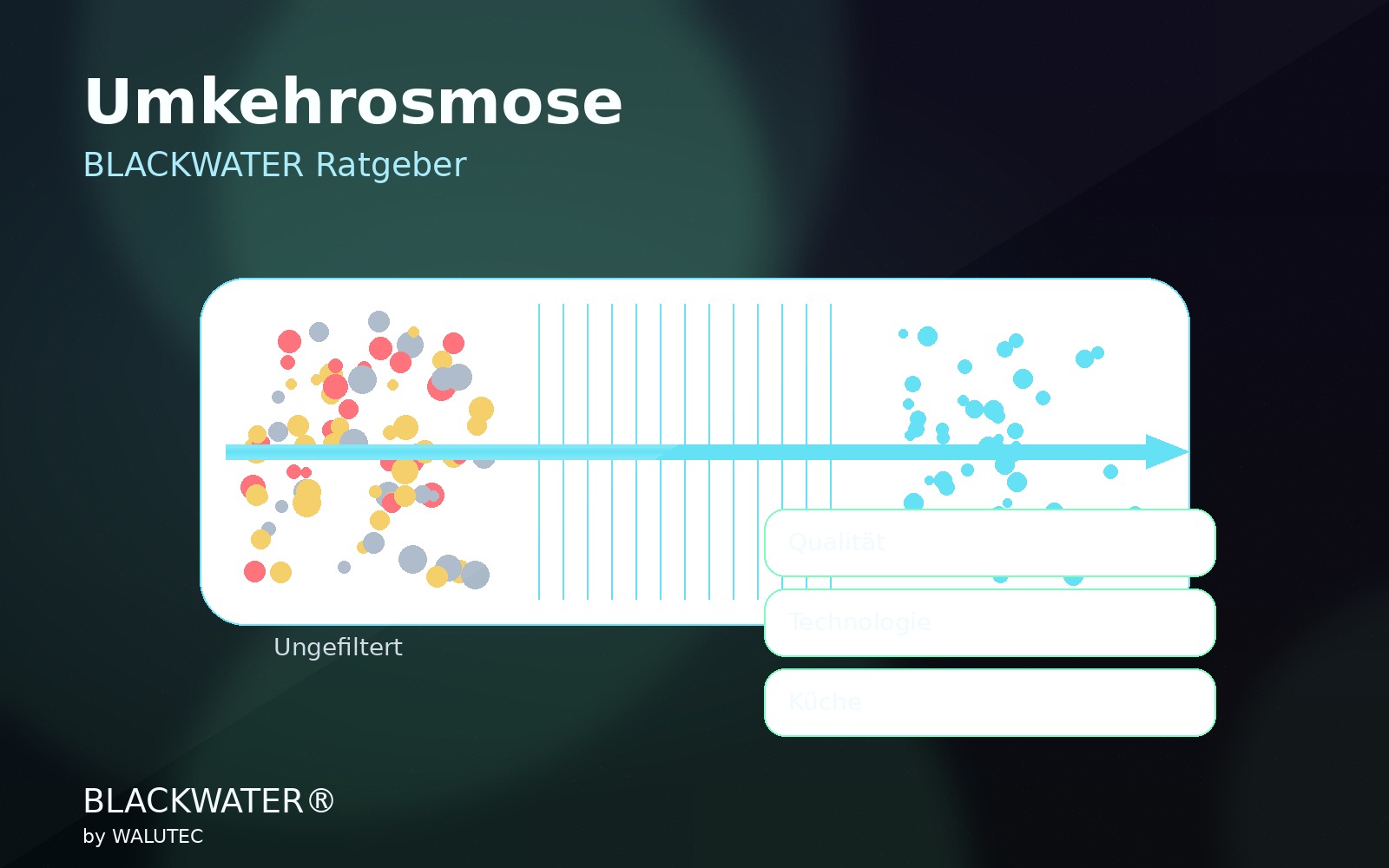 Was ist Umkehrosmose?