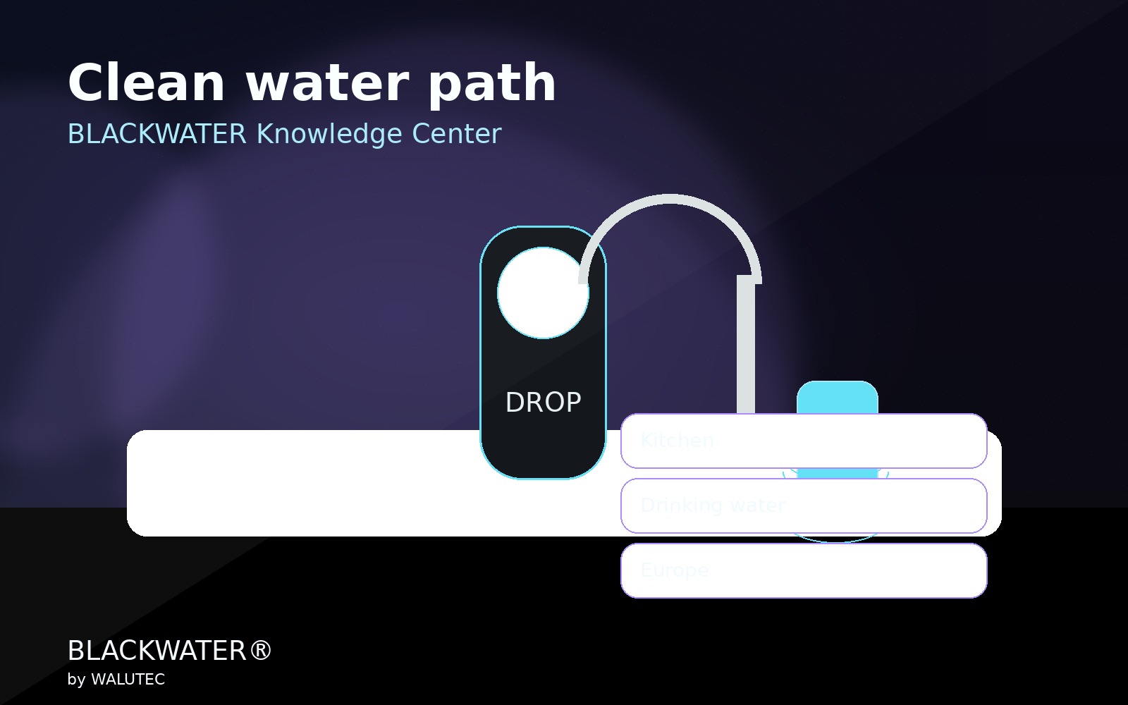 Premium drinking water system